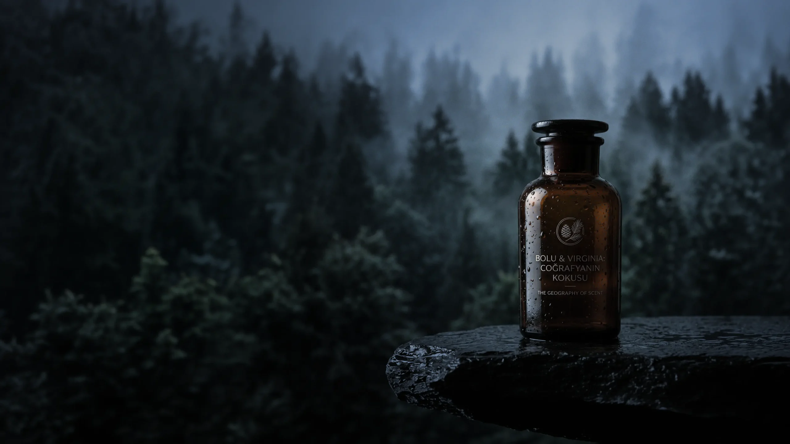 Scent: Bolu to VA